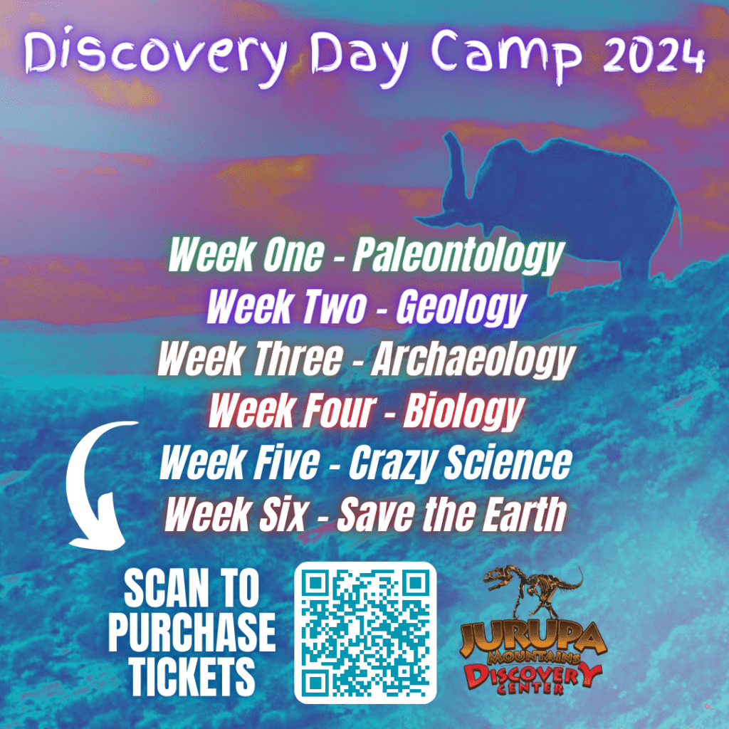 JMDC Discovery Camp 2024 All