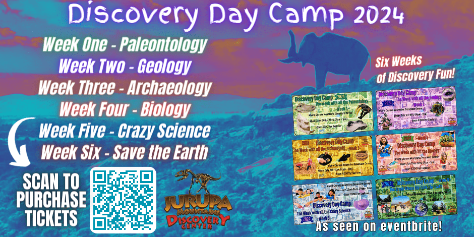 JMDC Discovery Camp 2024 All (4)