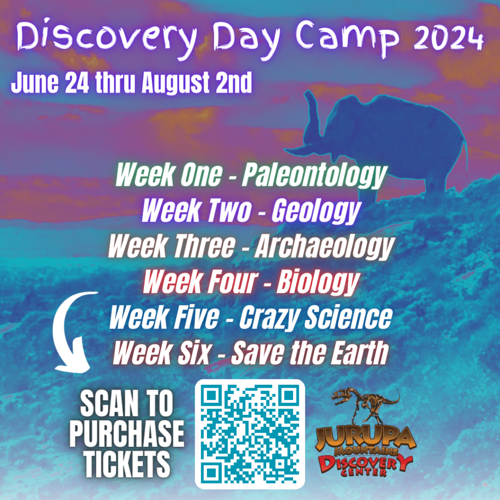 JMDC Discovery Camp 2024 All (5)
